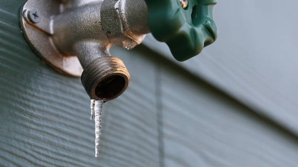 Best Residential Plumbing Services  in Meadow Oaks, FL